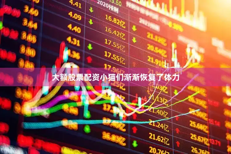 大额股票配资小猫们渐渐恢复了体力